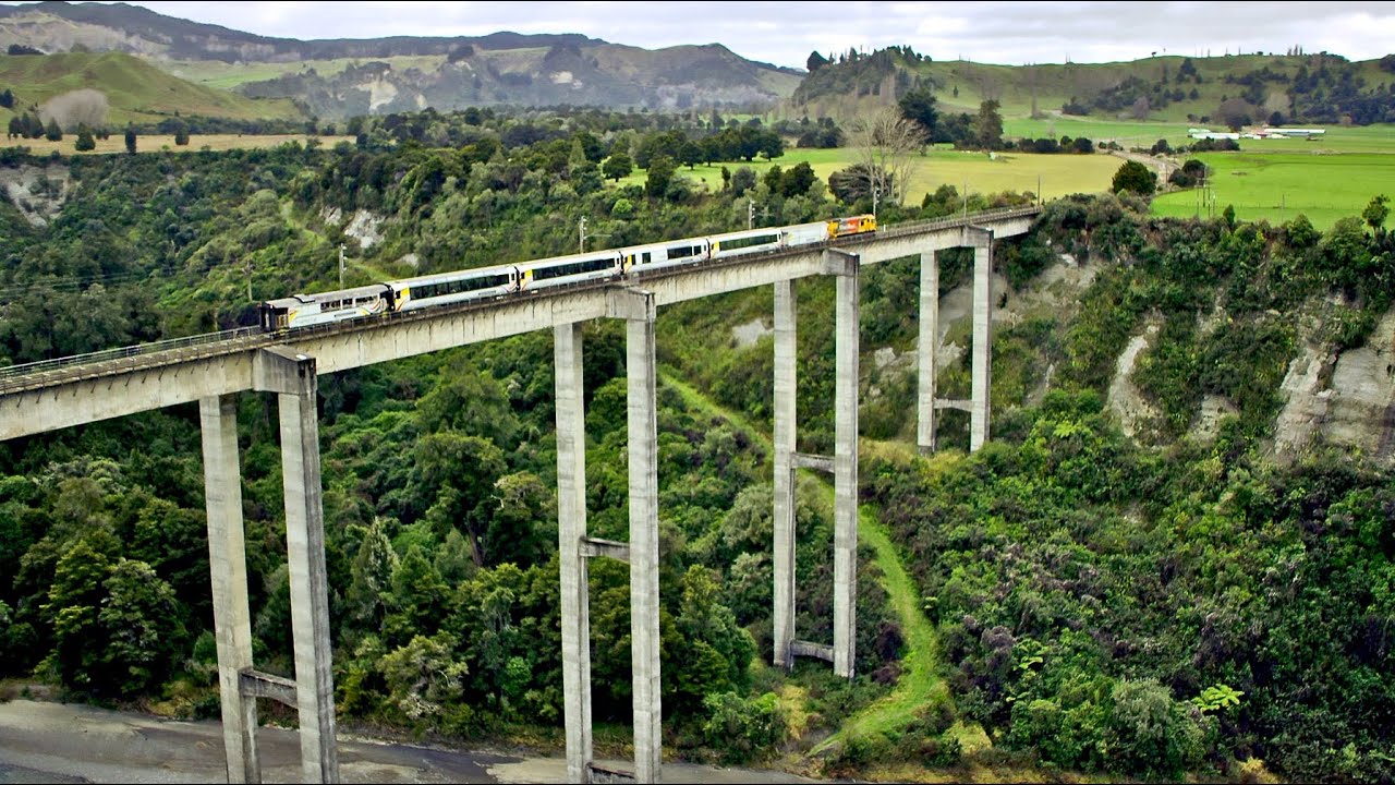 Auckland to  Wellington 